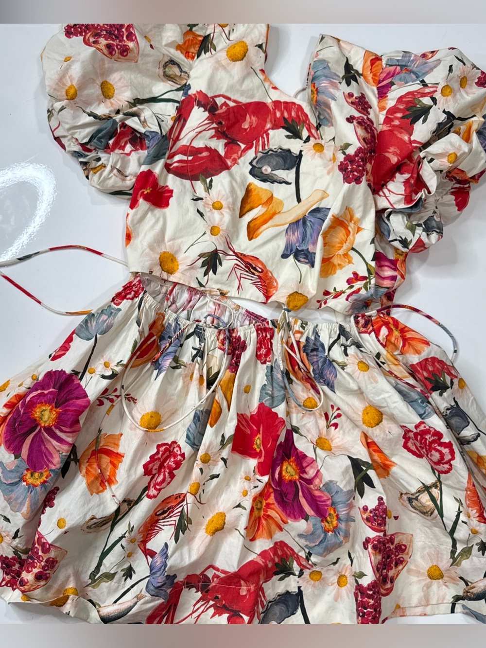 Allina Liu Rembrandt Mini Dress featuring a vibrant Print, Cotton Dress A020826